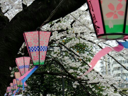 適合心情不好發(fā)的傷感難過(guò)說(shuō)說(shuō)帶圖片 這一次我放你走好不好2