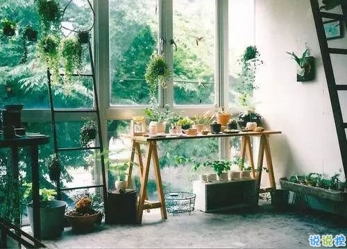 關(guān)于感情中的愛恨情仇的傷感句子帶圖片 其實(shí)你并沒有那么堅(jiān)強(qiáng)16