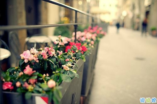 對愛一往情深的經典說說帶圖片 文藝愛情小短句表達愛意9