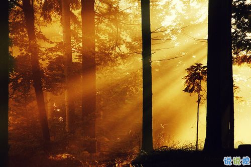 女生跟男朋友撒嬌的說說帶圖片 女生寫給男生的可愛情話5