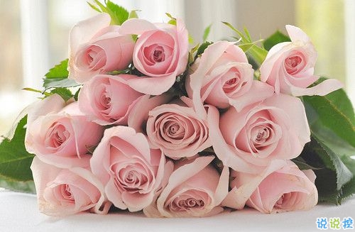 2019春分朋友圈早安祝福語(yǔ)帶圖片 春分唯美說說簡(jiǎn)單一句話12