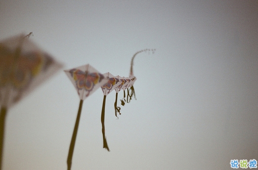 文字控關(guān)于青春成長的唯美說說和圖片 年華是一場(chǎng)無聲劇3