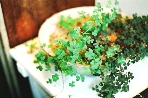 關(guān)于夏天的唯美文藝說說帶圖片 夏有彤云蔚然成風(fēng)3