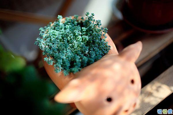 2019豬年初五迎財(cái)神心情短語(yǔ) 2019最新初五迎財(cái)神短信祝福語(yǔ)1