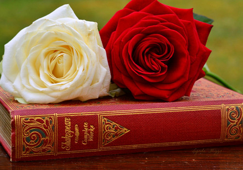 痛徹心扉的傷感愛(ài)情說(shuō)說(shuō)帶圖片 我在每個(gè)下雨天想起你15