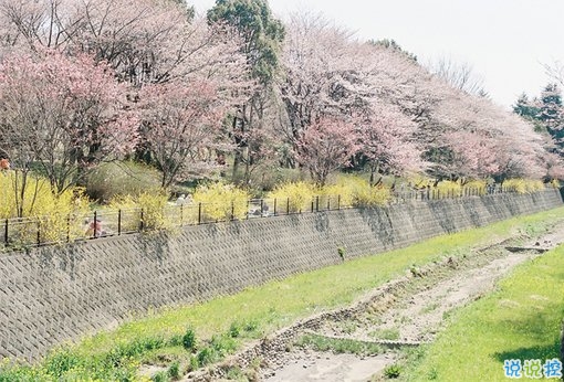 2019最新經典說說給人希望 激勵人心的經典說說帶圖片13