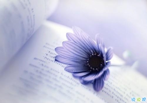 qq文字控愛(ài)情哲理說(shuō)說(shuō)帶圖片大全 路過(guò)了青春我們還剩下什么2