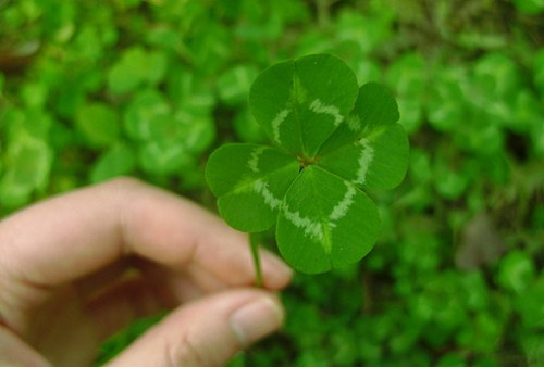 很含蓄唯美的藏頭詩說說帶圖片文字控會(huì)很喜歡14