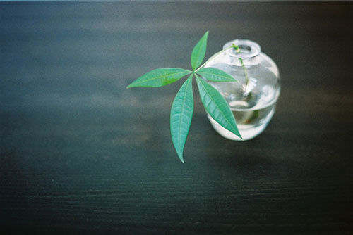 和六月說再見迎接美好的七月的正能量說說帶圖片1