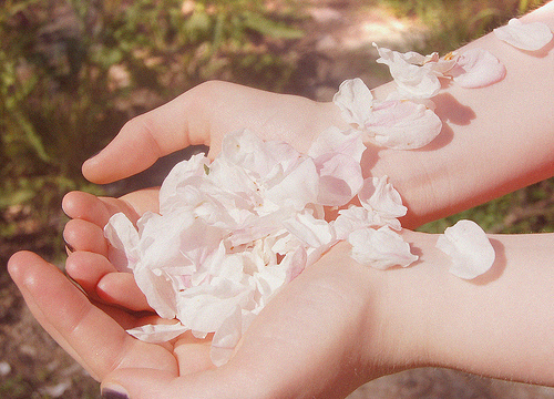 告白時的文藝浪漫情話句子 超浪漫的文藝愛情句子1