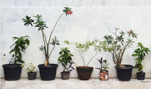 關(guān)于愛情的甜蜜小句子帶圖片 我忘記誰都不能忘記那個(gè)夏天的你11