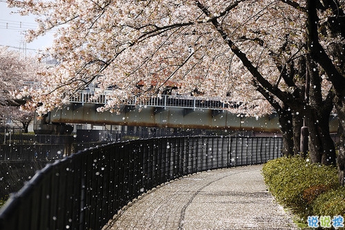 qq空間勵(lì)志說(shuō)說(shuō)帶圖片2019 00后都愛(ài)的勵(lì)志句子年輕人必備10