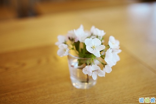 關(guān)于人生哲理的句子 2019哲理句子大全簡短精辟1