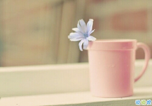 2019適合跨年夜的表白說說 一句話感動對方的完美情話2