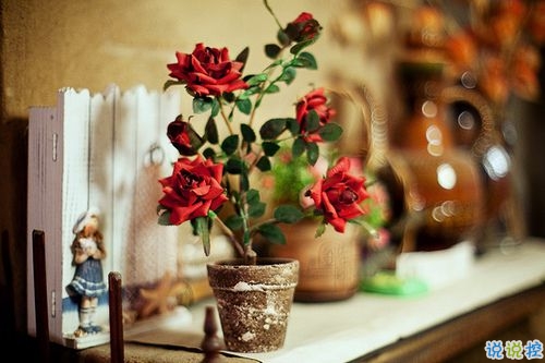 00后個性說說霸氣獨特有創(chuàng)意 一句話很霸氣的說說合集1