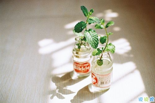 2019情人節(jié)朋友圈說(shuō)說(shuō)心情短語(yǔ) 抖音最火情人節(jié)說(shuō)說(shuō)大全1