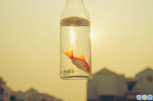 我們一路走來(lái)都很堅(jiān)強(qiáng)的勵(lì)志說(shuō)說(shuō)帶圖片 很正能量的經(jīng)典勵(lì)志說(shuō)說(shuō)9