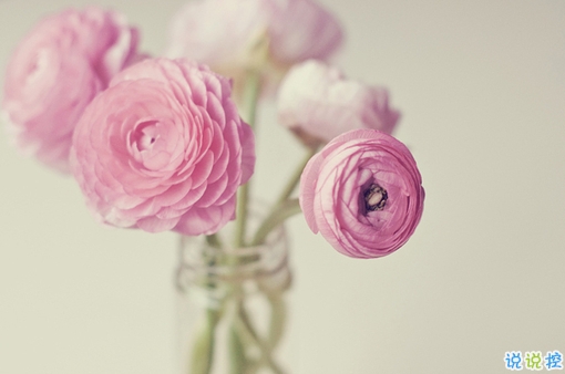 突然很想哭的心情說說大全 快手寫進(jìn)心坎的傷感句子2