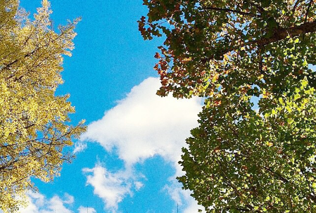 2018人生哲理的句子帶圖片帶字 很精辟的人生哲理句子配圖14條9