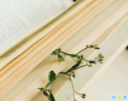 簡(jiǎn)短的帶唯美的說活帶圖片 簡(jiǎn)單一句話說說表達(dá)心中的情感3