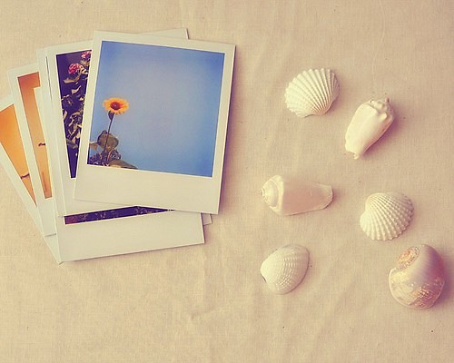 有哪些詩歌讀到后心里像開出了一朵花？10