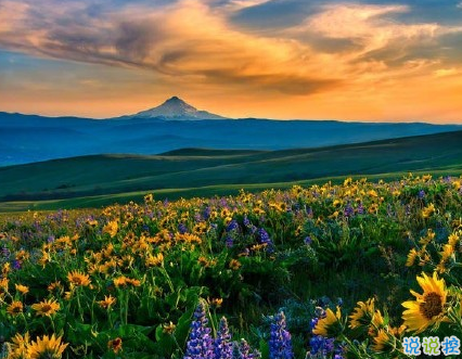 很真實幸福的愛情說說帶圖片 向另一伴告白的浪漫愛情說說12