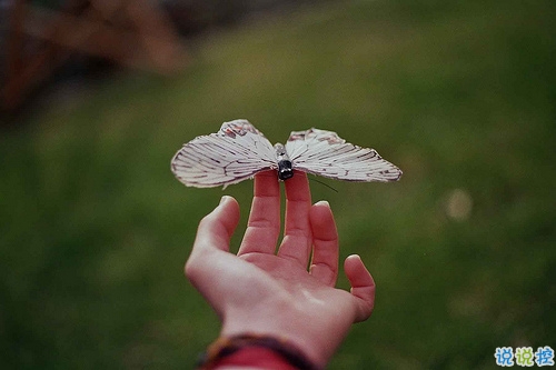 有種淡淡心酸的個性說說帶圖片 文字控喜歡的文藝個性說說配圖6