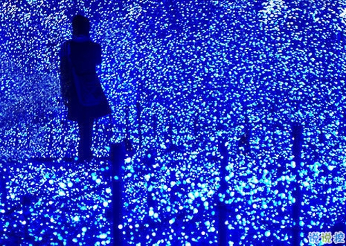 女生發(fā)朋友圈可愛搞怪的句子帶圖片 最新微信搞笑說說大全10