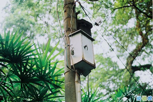 感悟人生的正能量句子帶圖片 你走過的彎路都是通向正軌的必經(jīng)之路15