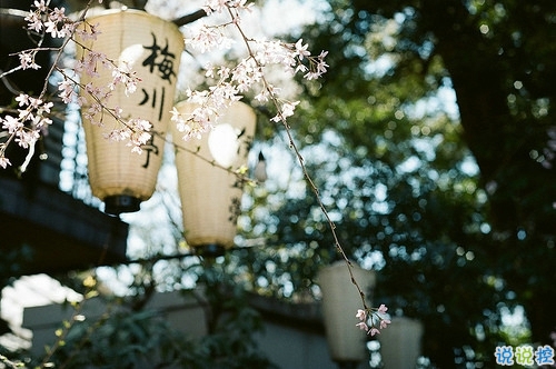 溫暖的小清新文藝句子帶圖片 想把自己的全世界都給你9