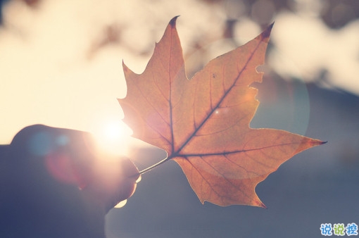 向女朋友求婚的話真實(shí)浪漫點(diǎn) 2019求婚句子大全簡單帶圖片6