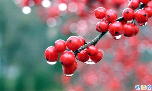 朋友圈曬美食的搞笑說說帶圖片 關(guān)于吃貨的說說簡短精辟201910