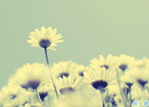 微信唯美憂傷說說一句話帶圖片 適合悲傷時發(fā)的唯美句子14