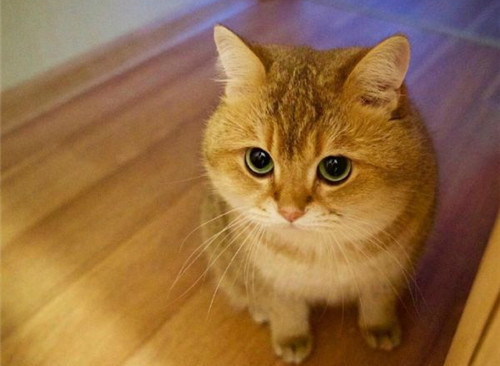 可以戳中中你笑點的搞笑說說帶圖片4