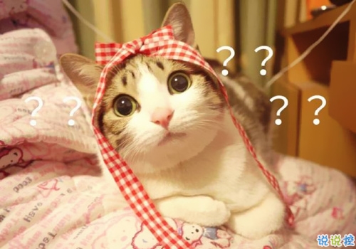 特別好笑又好玩的搞笑說說大全 讓人捧腹大笑的搞笑內(nèi)涵說說1