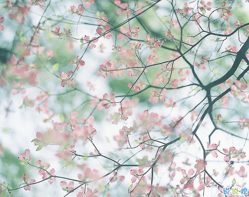 青春年少歲月中對人生的思考 精辟內(nèi)涵的經(jīng)典說說帶圖片很有意境1