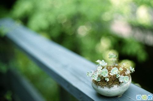 特別經(jīng)典人生的說說值得收藏帶圖片 朋友圈吸引人的經(jīng)典說說3