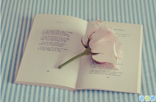 國內(nèi)國外很經(jīng)典的電影臺詞經(jīng)典語錄 關(guān)于人生愛情的精辟電影臺詞2