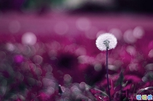 超暖心的朋友圈勵(lì)志說(shuō)說(shuō)帶圖片 致所有人的勵(lì)志說(shuō)說(shuō)值得收藏15