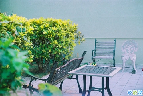 表達(dá)愛(ài)意的唯美句子配圖 肯定能打動(dòng)你心的唯美說(shuō)說(shuō)帶圖片12