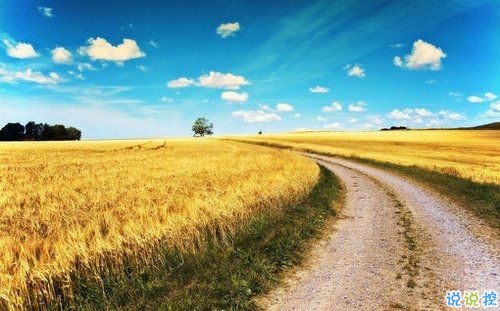 2019年除夕夜勵志經(jīng)典說說帶圖片 除夕夜微信說說簡單一句話9