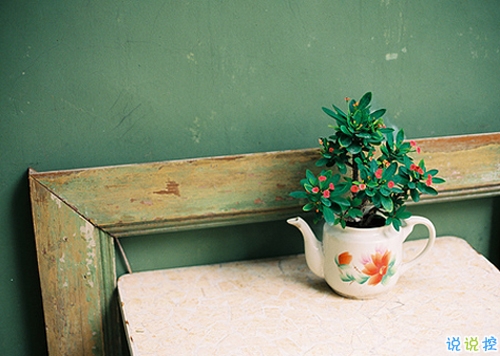 適合發(fā)說(shuō)說(shuō)的甜蜜的小情話(huà)帶圖片 我有三行情書(shū)只想唱給你聽(tīng)13