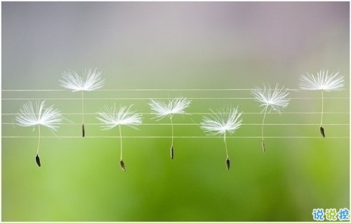 關(guān)于現(xiàn)實(shí)的人生感悟帶圖片 27條值得收藏和學(xué)習(xí)的經(jīng)典說說大全7