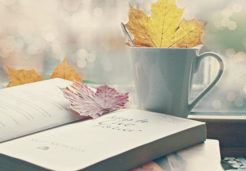 簡(jiǎn)單一句話早安說(shuō)說(shuō)很勵(lì)志 愿你的世界永遠(yuǎn)是晴天11