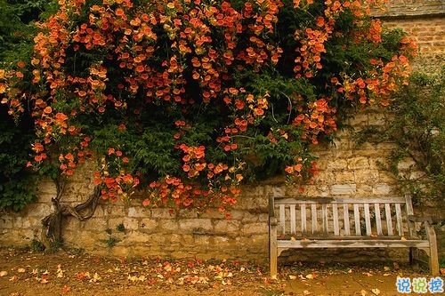 2019最新周末出去玩的心情說(shuō)說(shuō) 春暖花開(kāi)外出游玩發(fā)朋友圈的說(shuō)說(shuō)1