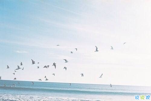 關(guān)于愛情簡單又有道理的句子配圖 愛情是一個人的天荒地老1