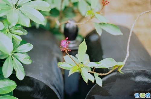 十二月你好幸福唯美說(shuō)說(shuō)帶圖片 2018十二月朋友圈說(shuō)說(shuō)帶著美好祝愿2