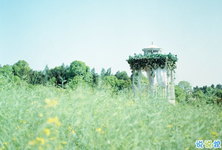 經(jīng)典有道理的說(shuō)說(shuō)帶圖片：我讀過(guò)很多書(shū)，但后來(lái)大部分都被我忘記了2