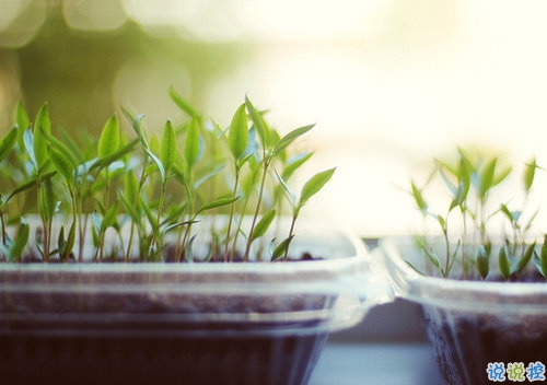 向女朋友求婚的話真實(shí)浪漫點(diǎn) 2019求婚句子大全簡單帶圖片1