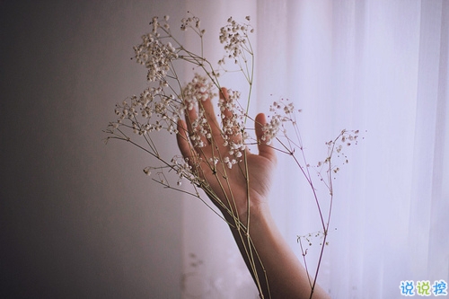 2019微信最真摯表白的話很真實 一股暖流暖流涌上心頭的說說2